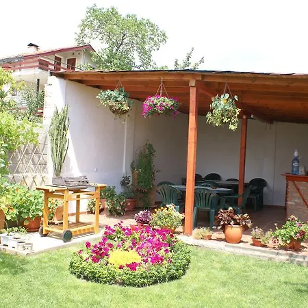 Guest house Kiwi