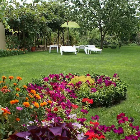 Kiwi Nisipurile de Aur