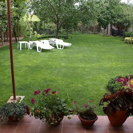 Pensiune Kiwi Nisipurile de Aur