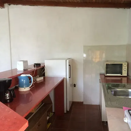 Kiwi Nisipurile de Aur