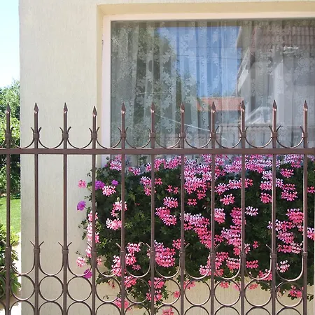 Pensiune Kiwi Nisipurile de Aur