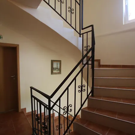 Kiwi * Nisipurile de Aur