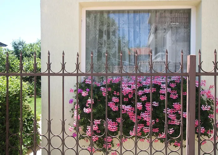 Guest house Kiwi Golden Sands