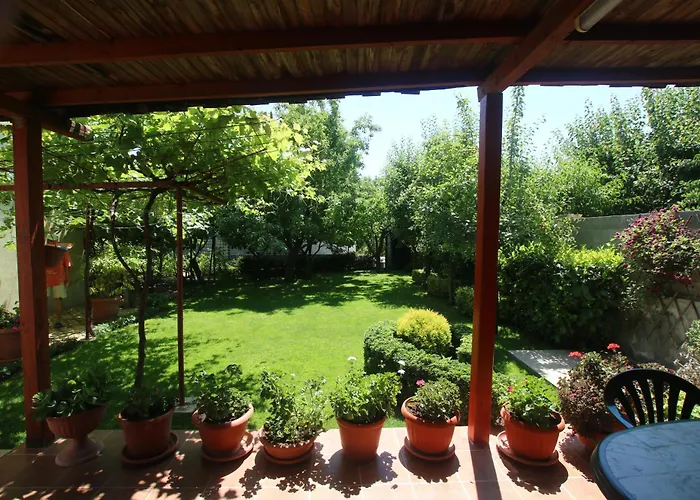 게스트하우스 Kiwi *